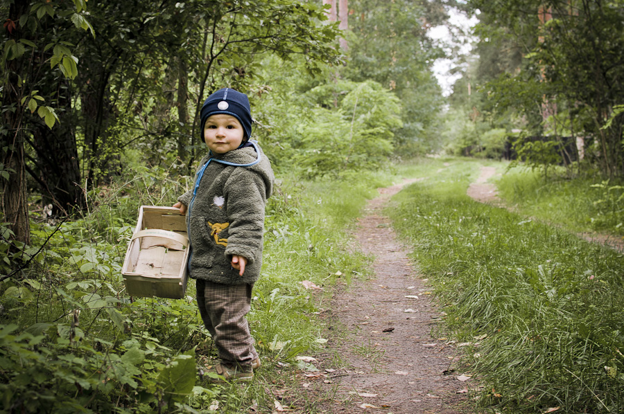 Auf geht`s in den Wald Auf geht`s in den Wald