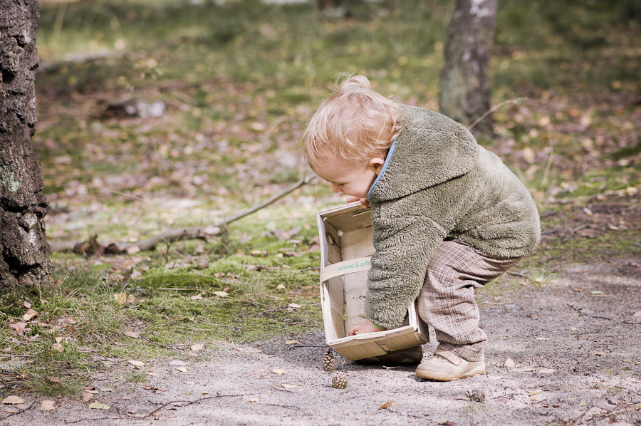 Irgend etwas will ich auch sammeln Irgend etwas will ich auch sammeln