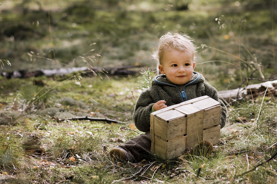 Pilze sammeln macht echt Spaß Pilze sammeln macht echt Spaß