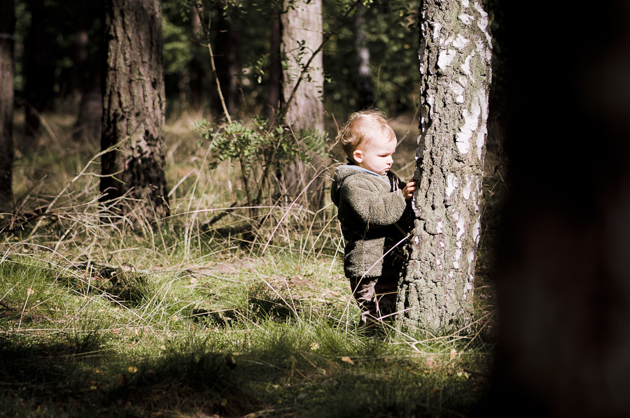 Wer hat den eigentlich die Bäume so komisch bemalt Wer hat den eigentlich die Bäume so komisch bemalt